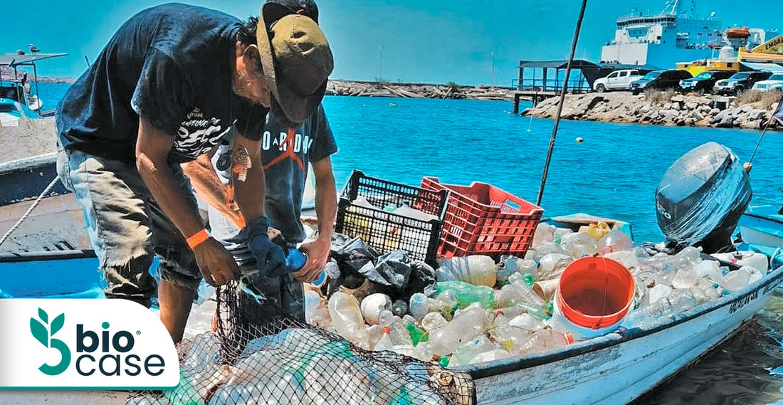 Campeonato de pesca de plástico