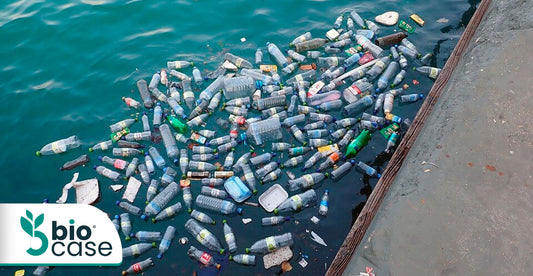 La contaminación por plásticos, un problema de todos.